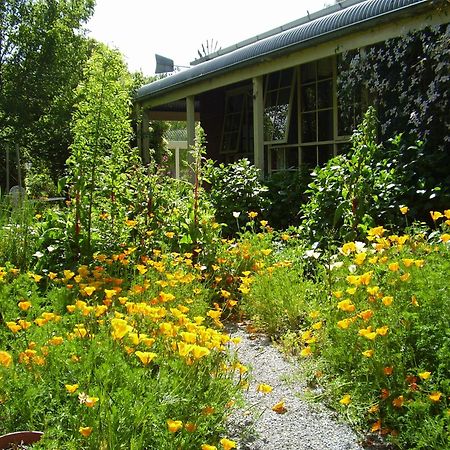 Holly Lane Mews Motel Yarra Glen Exterior foto