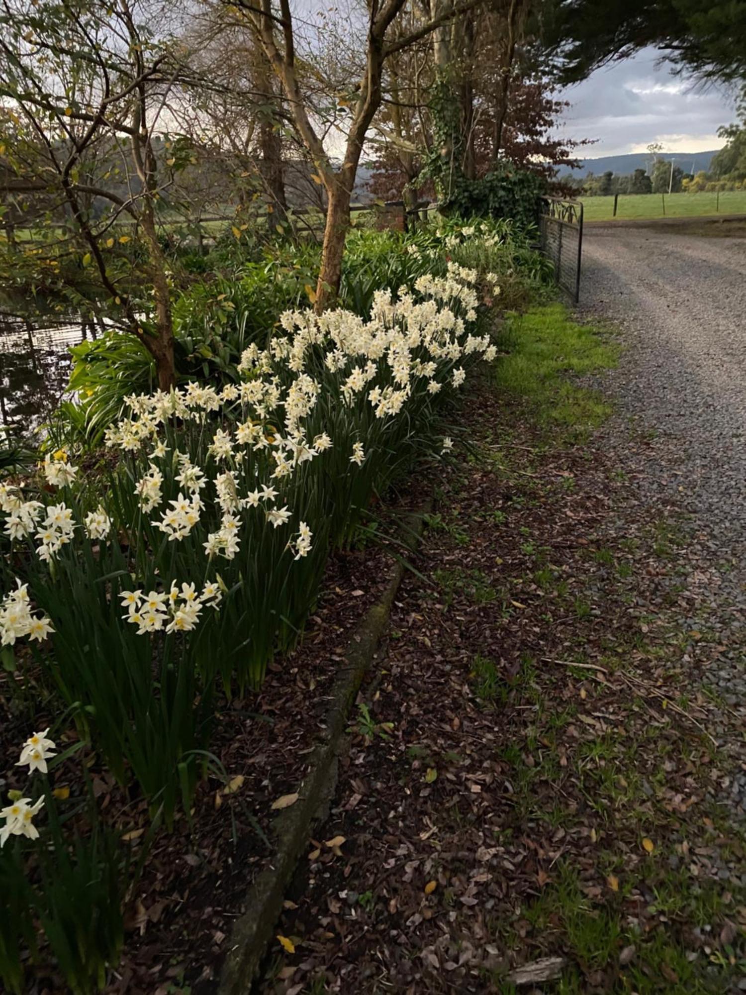 Holly Lane Mews Motel Yarra Glen Exterior foto