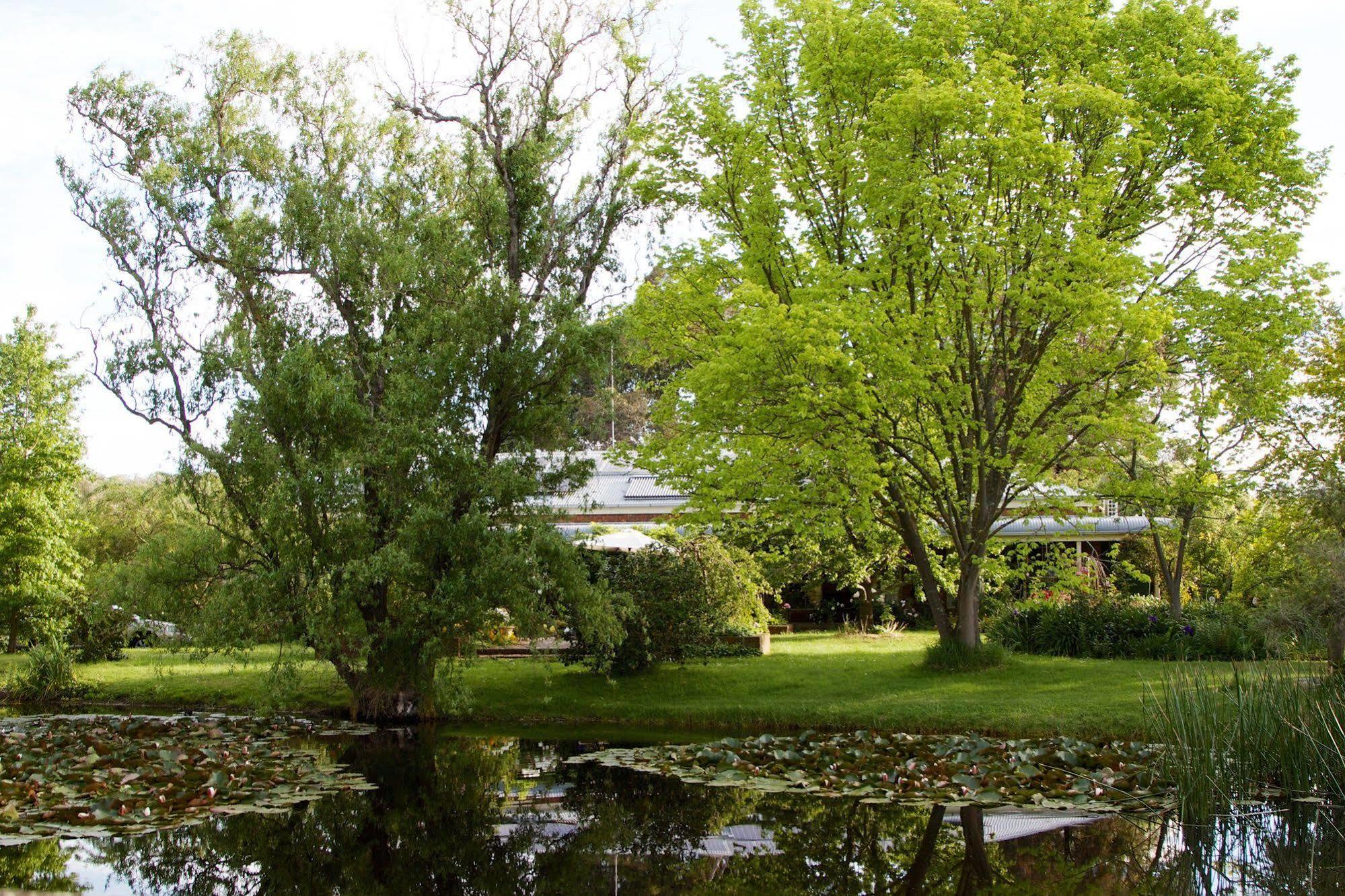 Holly Lane Mews Motel Yarra Glen Exterior foto