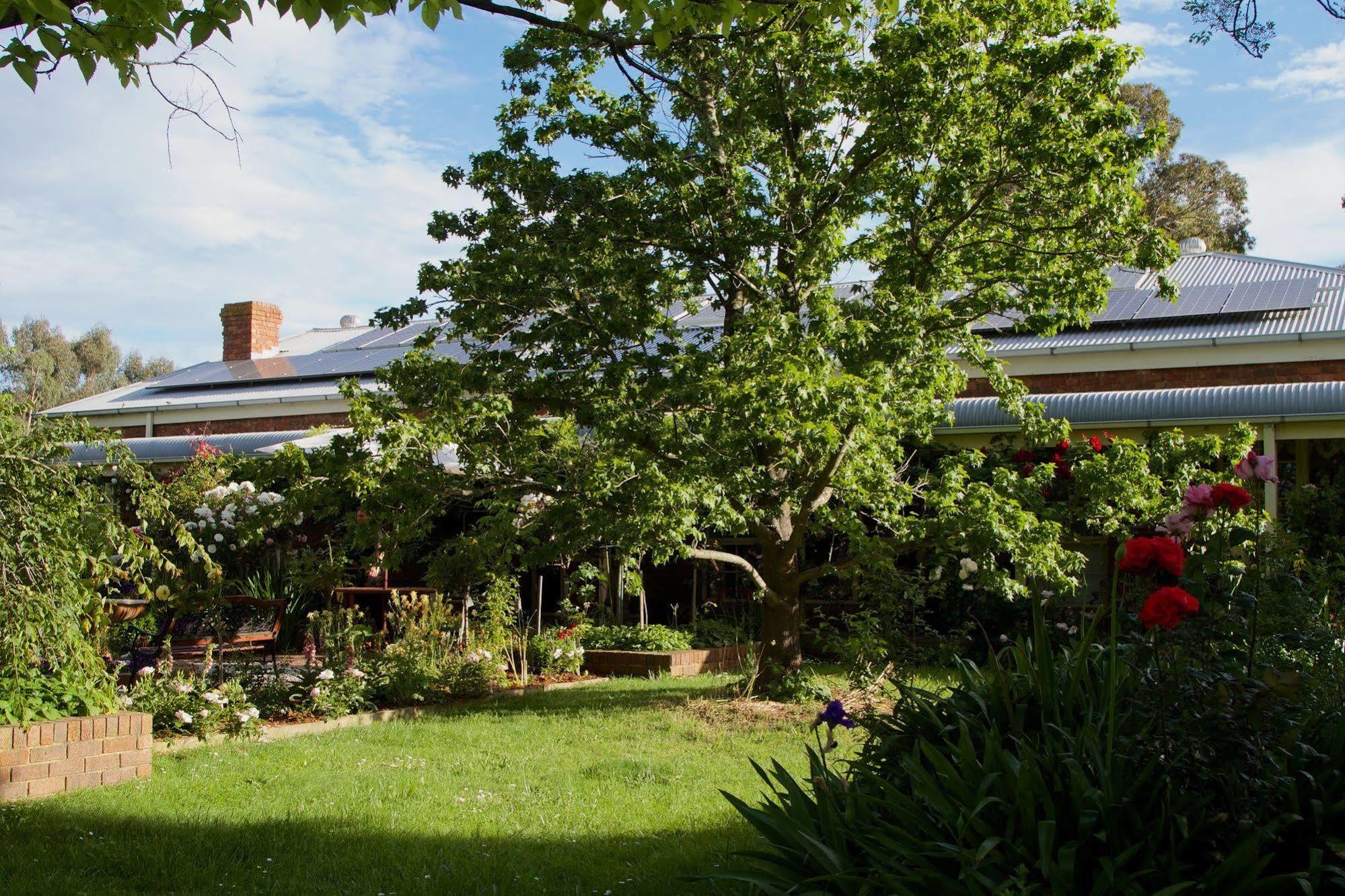 Holly Lane Mews Motel Yarra Glen Exterior foto